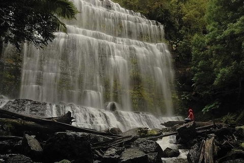 Highlights Of Tasmania Premium Small Group 7 Days Touring Package - Accommodation NT 13