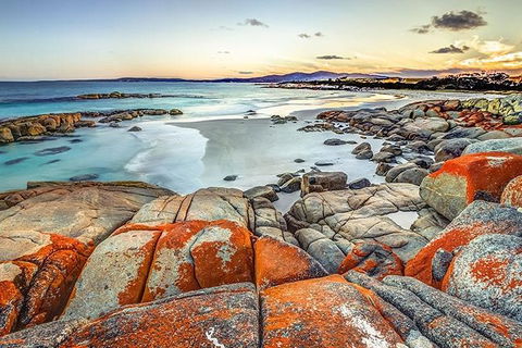 Highlights Of Tasmania Premium Small Group 7 Days Touring Package - Accommodation NT 12