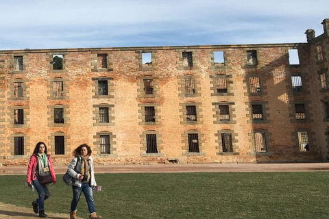 Discover Hobart: Port Arthur And Lavender Farm 1 Day Tour - Accommodation NT 4