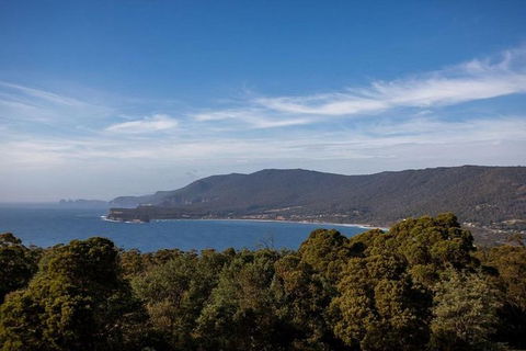 Discover Hobart: Port Arthur And Lavender Farm 1 Day Tour - Accommodation NT 5