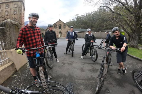 Explore Downhill Mountain In 3-Hour Bike Tour From Hobart - Accommodation NT 3