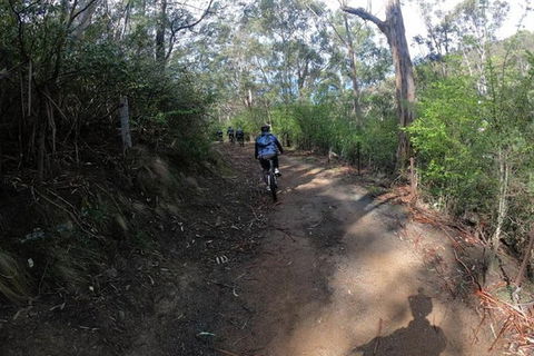 Explore Downhill Mountain In 3-Hour Bike Tour From Hobart - Accommodation NT 1