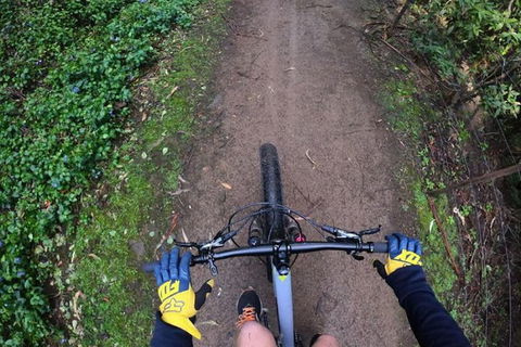 Explore Downhill Mountain In 3-Hour Bike Tour From Hobart - Accommodation NT 4