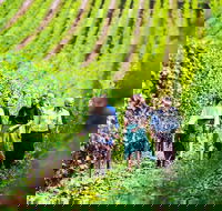 Hobart Highlights of Tasmanian Wine Full Day Tour - Accommodation NT