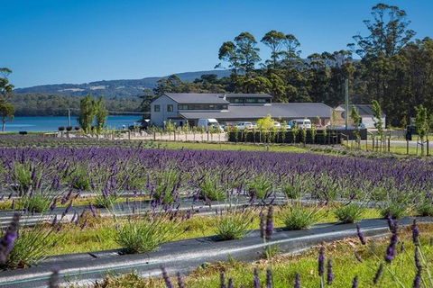 Private Hobart Discover South East Food And Scenic Tour - Accommodation NT 3
