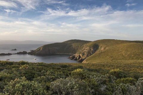 2.5-Hour Sunset At Cape Bruny Lighthouse Tour - Accommodation NT 2