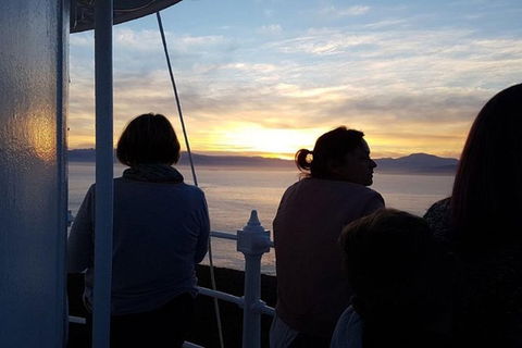 2.5-Hour Sunset At Cape Bruny Lighthouse Tour - Accommodation NT 1