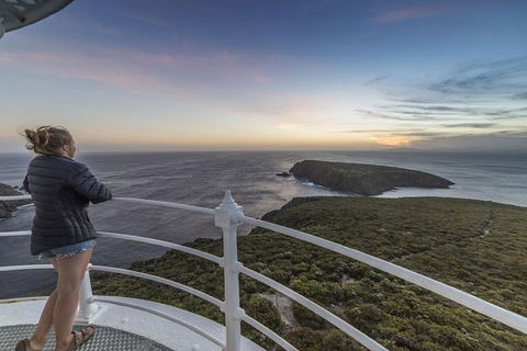 2.5-Hour Sunset At Cape Bruny Lighthouse Tour - Accommodation NT 0