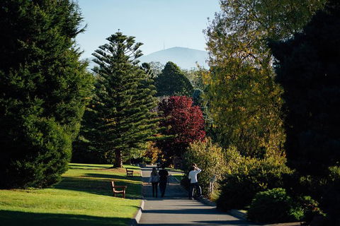 Private Royal Tasmanian Botanical Gardens Walking Tour - Accommodation NT 3