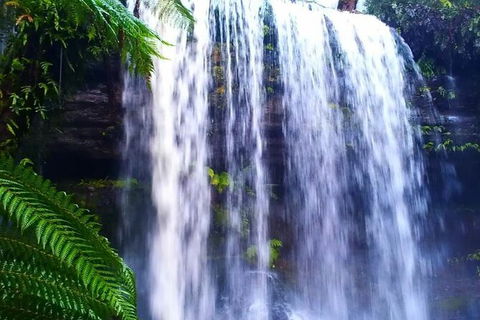 Hobart Minibus Full-Day Private Tour - Accommodation NT 5