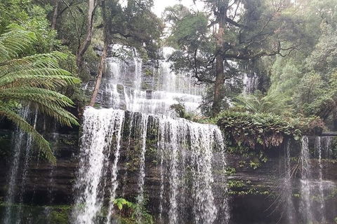 6-Day Small-Group Hearty Tasmania Tour From Hobart - Accommodation NT 5