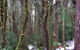 6-Day Small-Group Hearty Tasmania Tour From Hobart - thumb 2