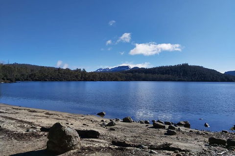 6-Day Small-Group Hearty Tasmania Tour From Hobart - Accommodation NT 4