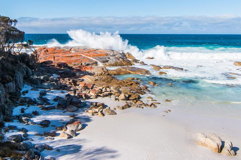 2-Day Tas East Coast Escape Tour Including Bay Of Fires, Wineglass Bay & Devils - Accommodation NT 6