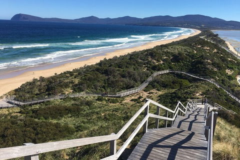 4-Day Fabulous Tasmania Tour: Wineglass Bay, Port Arthur, Devils & Bruny Island - Accommodation NT 3
