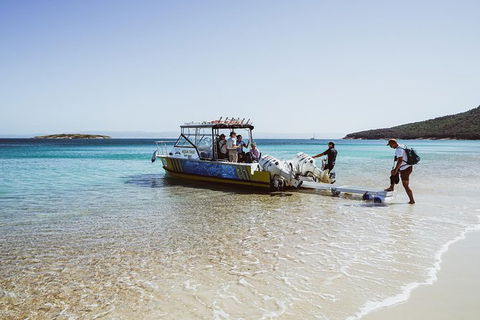 Sea & Explore Wineglass Bay & Freycinet National Park - Cruise & Walk - Accommodation NT 3