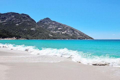 Sea & Explore Wineglass Bay & Freycinet National Park - Cruise & Walk - Accommodation NT 4