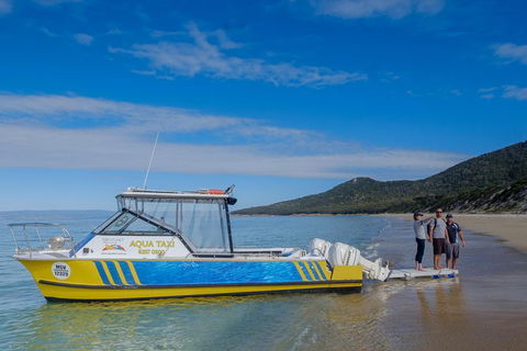 Sea & Explore Wineglass Bay & Freycinet National Park - Cruise & Walk - Accommodation NT 7