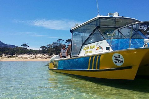 Sea & Explore Wineglass Bay & Freycinet National Park - Cruise & Walk - Accommodation NT 1