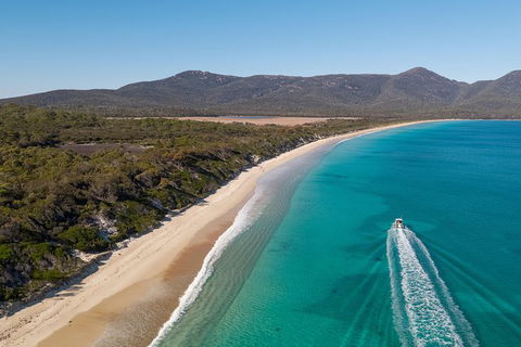 Sea & Explore Wineglass Bay & Freycinet National Park - Cruise & Walk - Accommodation NT 0