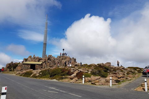 Mt. Wellington Morning Hike + Afternoon Beer & History Walk - Accommodation NT 21