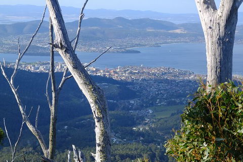 Mt. Wellington Morning Hike + Afternoon Beer & History Walk - Accommodation NT 10