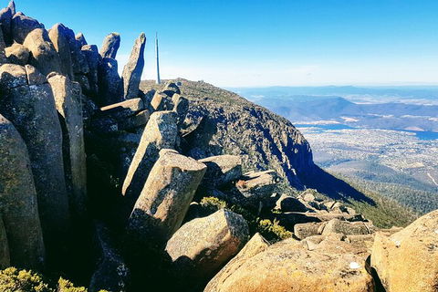 Mt. Wellington Morning Hike + Afternoon Beer & History Walk - Accommodation NT 11