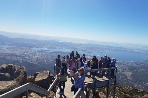 Mt. Wellington Morning Hike + Afternoon Beer & History Walk - Accommodation NT 2