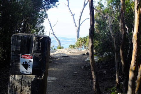 Mt. Wellington Morning Hike + Afternoon Beer & History Walk - Accommodation NT 14