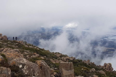 Mt. Wellington Morning Hike + Afternoon Beer & History Walk - Accommodation NT 18