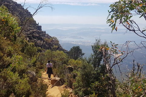 Mt. Wellington Morning Hike + Afternoon Beer & History Walk - Accommodation NT 1