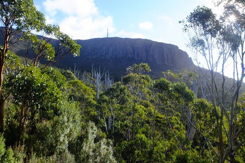 Mt. Wellington Morning Hike + Afternoon Beer & History Walk - Accommodation NT 4