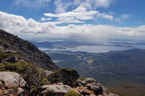 Mt. Wellington Morning Hike + Afternoon Beer & History Walk - Accommodation NT 5