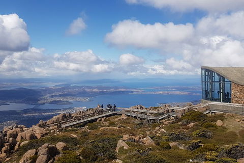 Mt. Wellington Morning Hike + Afternoon Beer & History Walk - Accommodation NT 3