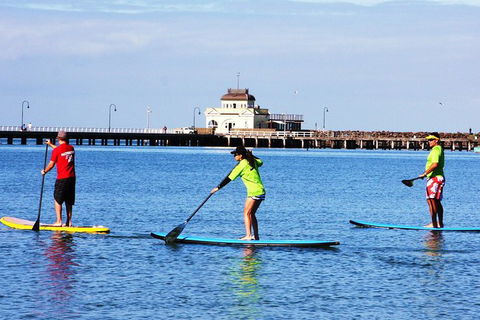 Private Stand-Up Paddle Board Lesson At St Kilda - Accommodation NT 0