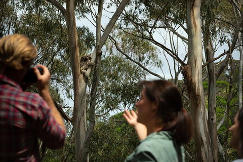 Indigenous Culture And Nature Tour - Accommodation NT 2