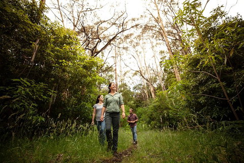 Indigenous Culture And Nature Tour - Accommodation NT 6