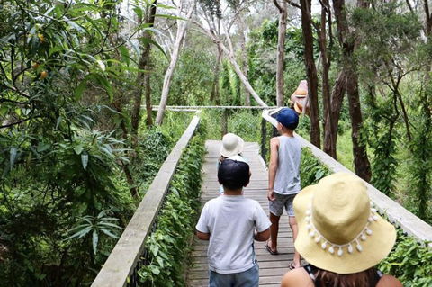 Boneo Maze: General Entry Ticket - Accommodation NT 0