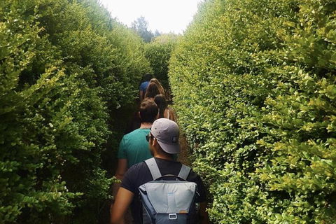 Boneo Maze: General Entry Ticket - Accommodation NT 1