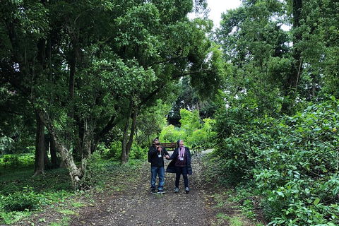Alices Journeys Guided Walking Tours Of Daylesford - Accommodation NT 5