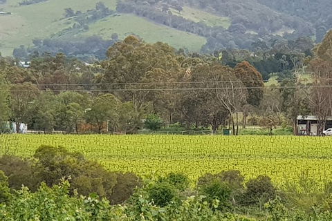 Day Tour Of Yarra Valley Puffing Billy And Rayners Orchard - Accommodation NT 44