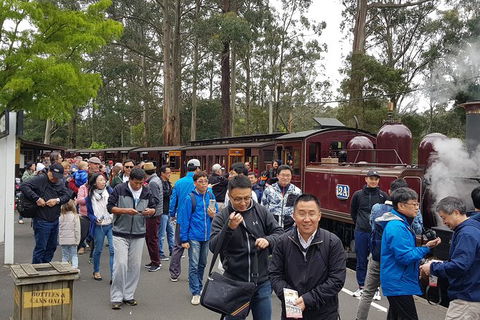 Day Tour Of Yarra Valley Puffing Billy And Rayners Orchard - Accommodation NT 3