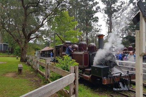 Day Tour Of Yarra Valley Puffing Billy And Rayners Orchard - Accommodation NT 14
