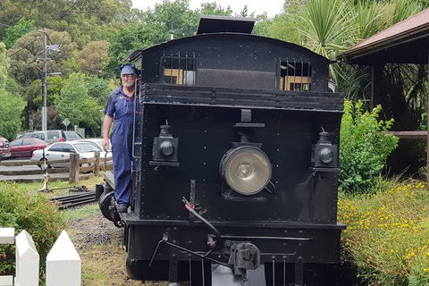 Day Tour Of Yarra Valley Puffing Billy And Rayners Orchard - Accommodation NT 11