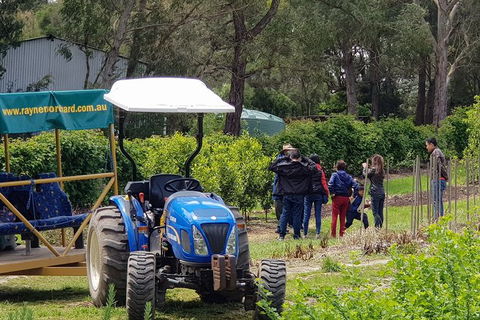 Day Tour Of Yarra Valley Puffing Billy And Rayners Orchard - Accommodation NT 10