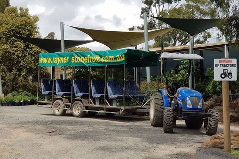 Day Tour Of Yarra Valley Puffing Billy And Rayners Orchard - Accommodation NT 17