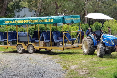 Day Tour Of Yarra Valley Puffing Billy And Rayners Orchard - Accommodation NT 48