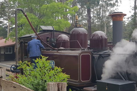 Day Tour Of Yarra Valley Puffing Billy And Rayners Orchard - Accommodation NT 5