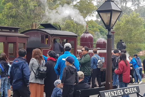 Day Tour Of Yarra Valley Puffing Billy And Rayners Orchard - Accommodation NT 40