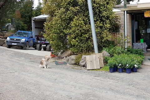Day Tour Of Yarra Valley Puffing Billy And Rayners Orchard - Accommodation NT 6